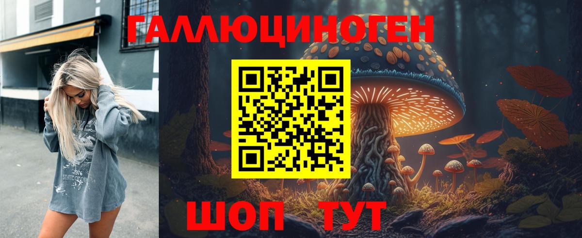купить закладку  Псилоцибиновые грибы мухоморы  Вход с VPN  Псилоцибиновые грибы Cubensis  Ирбит 